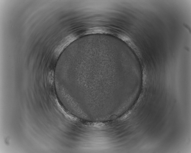 X0000102801233200809021129