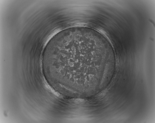 X0000102801235200809021129