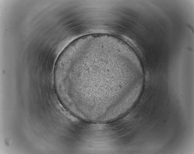 X0000102801236200809021129