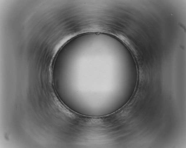 X0000102801238200809021129