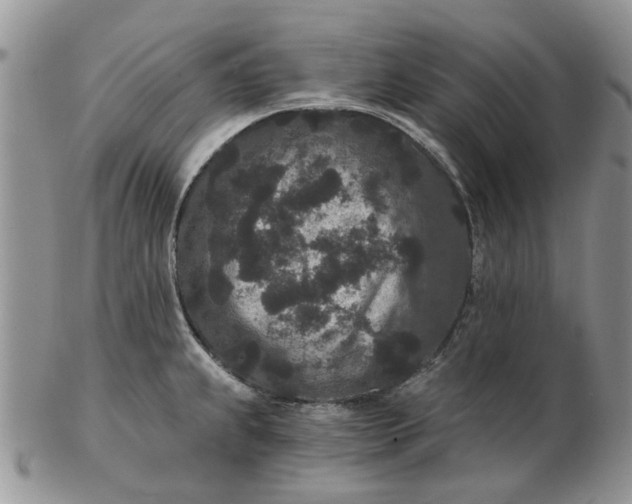 X0000102801239200809021129