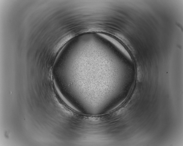 X0000102801241200809021129