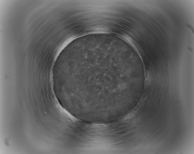 X0000102801243200809021129