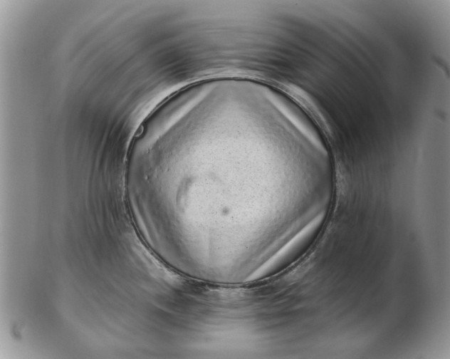 X0000102801244200809021129