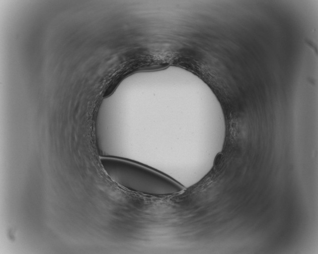 X0000102801249200809021129