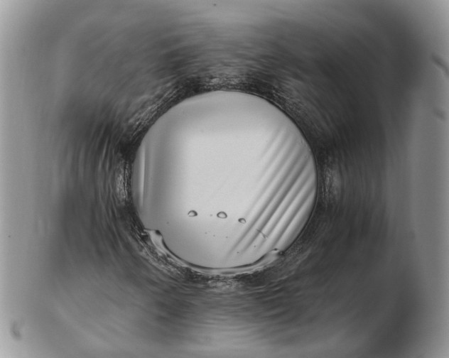 X0000102801250200809021129