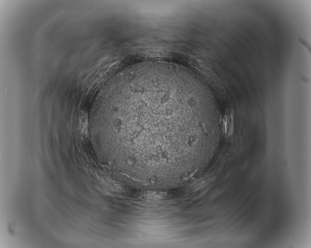 X0000102801251200809021129