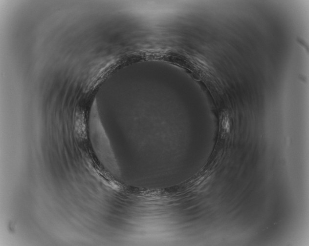 X0000102801252200809021129