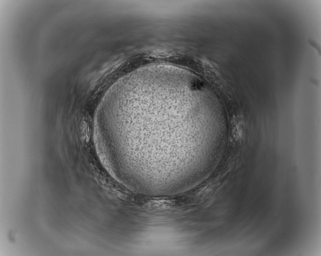 X0000102801253200809021129