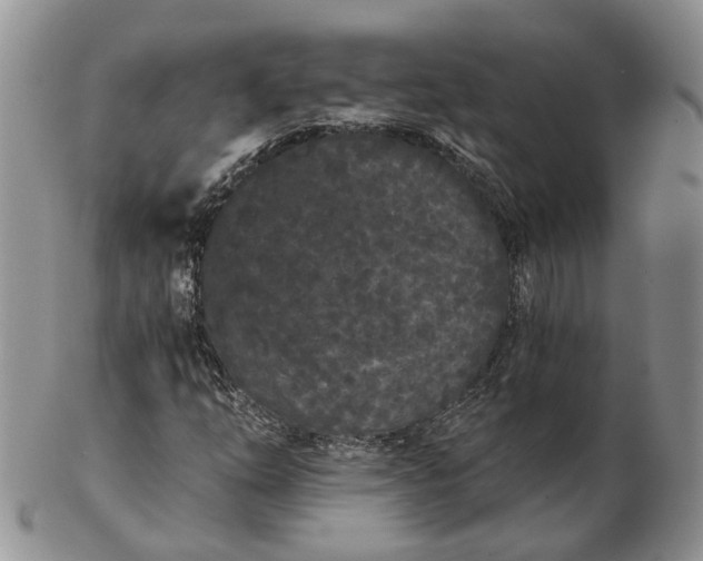 X0000102801254200809021128