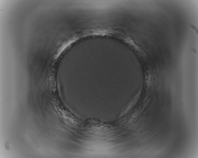 X0000102801256200809021128