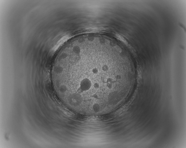 X0000102801259200809021128