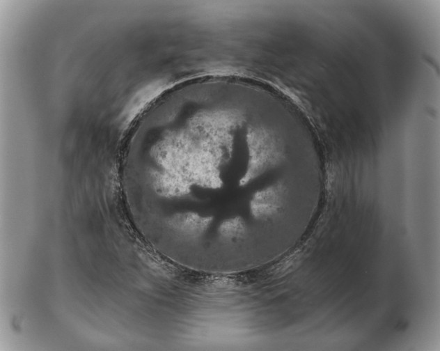 X0000102801263200809021128