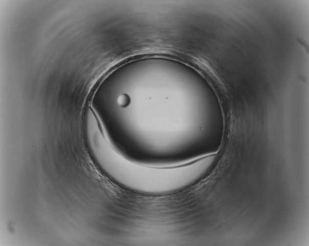 X0000102801268200809021128