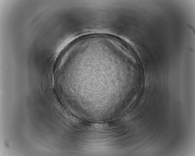 X0000102801271200809021128