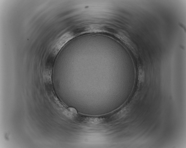 X0000102801273200809021128