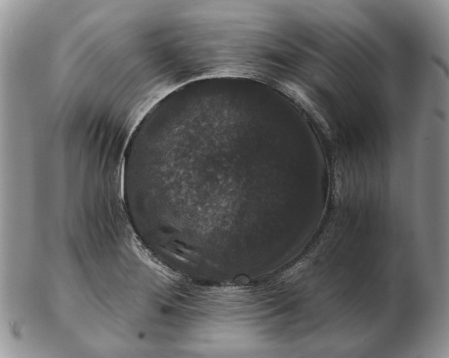 X0000102801276200809021128