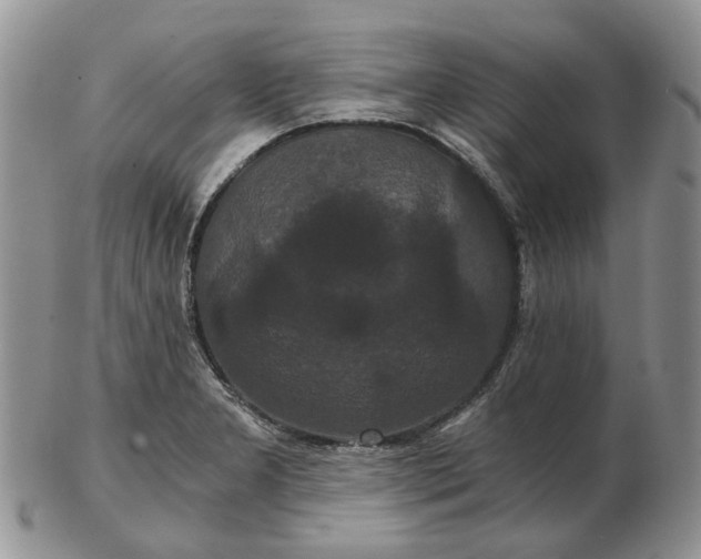 X0000102801277200809021128