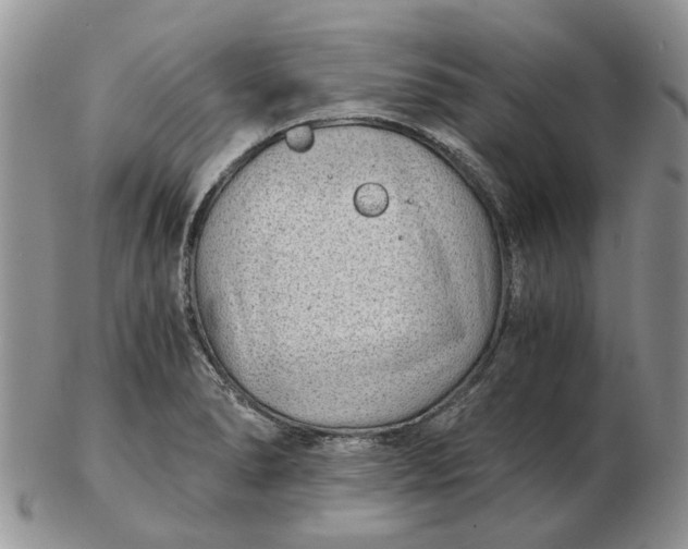 X0000102801278200809021128