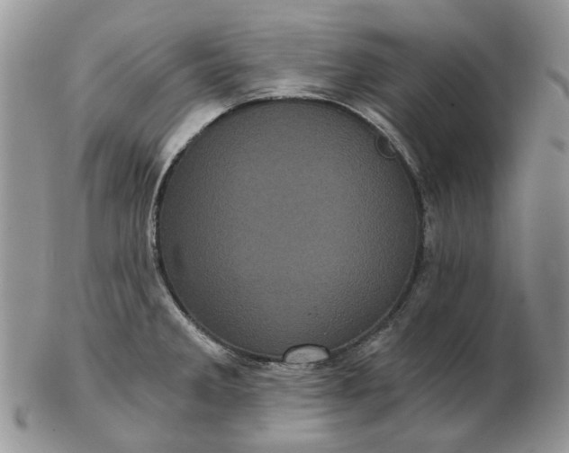 X0000102801285200809021128