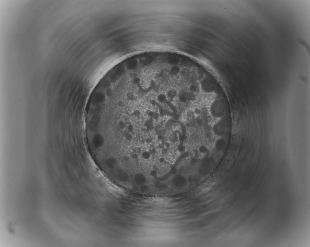 X0000102801287200809021128