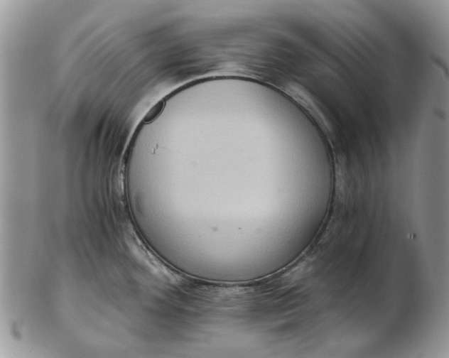 X0000102801292200809021128