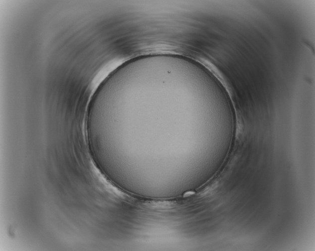 X0000102801293200809021128