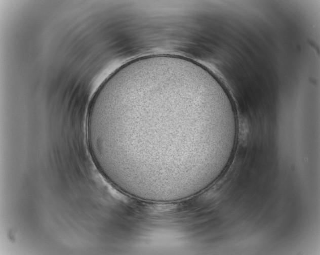 X0000102801294200809021128