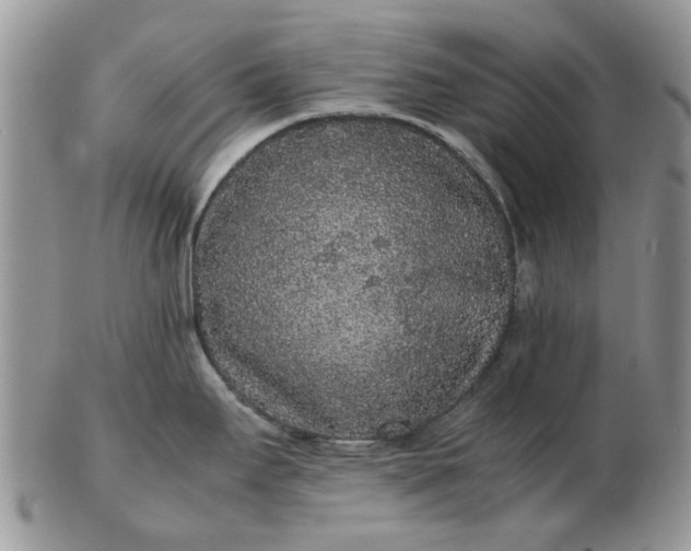 X0000102801295200809021128