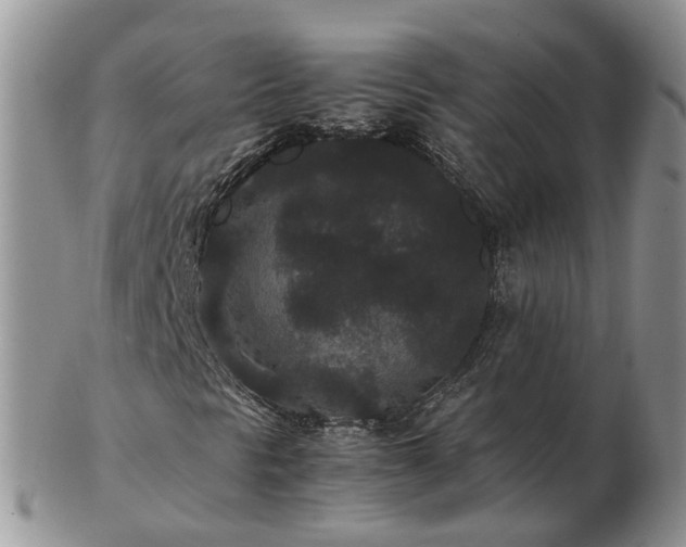 X0000102801297200809021127