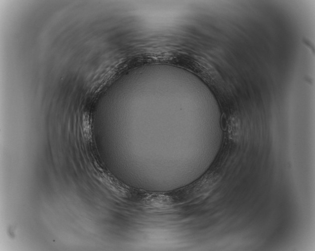 X0000102801298200809021127