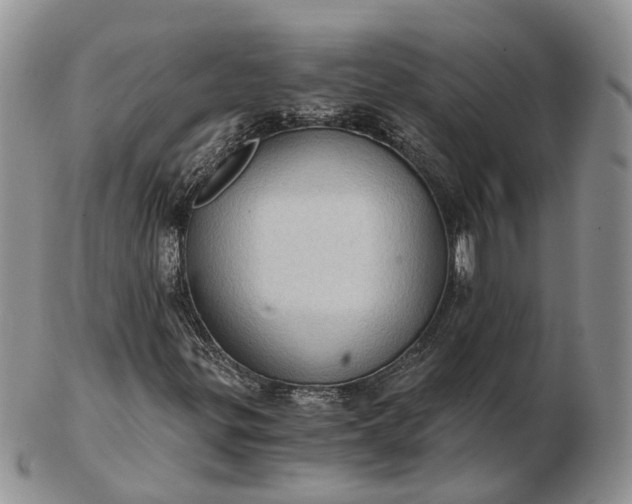 X0000102801299200809021127