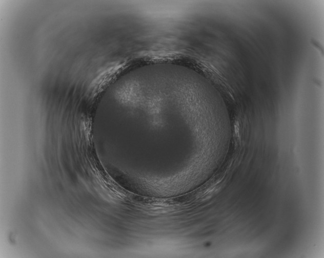 X0000102801300200809021127