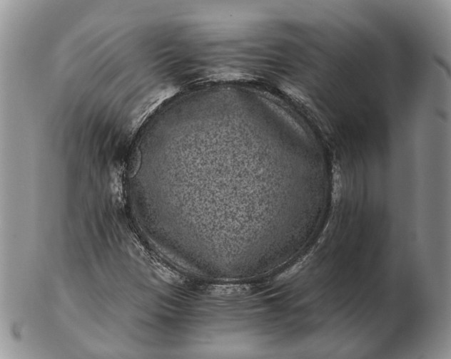 X0000102801305200809021127