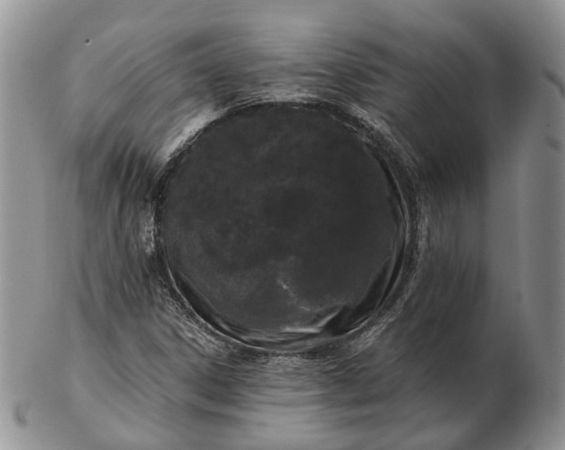 X0000102801306200809021127