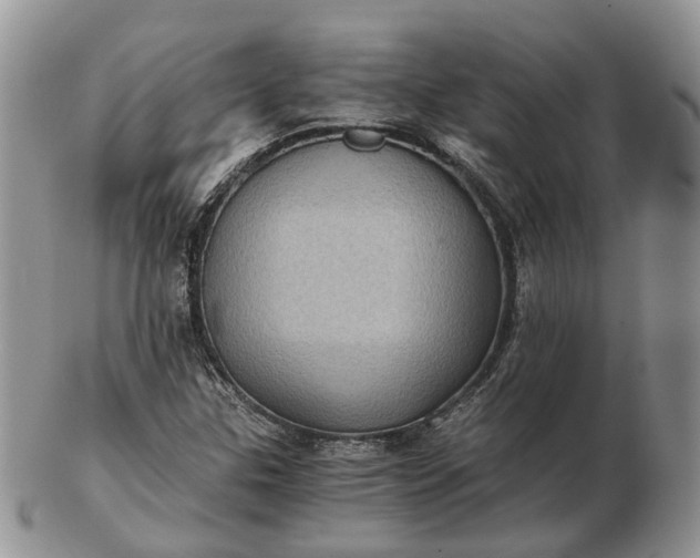 X0000102801307200809021127