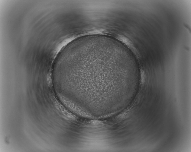 X0000102801308200809021127