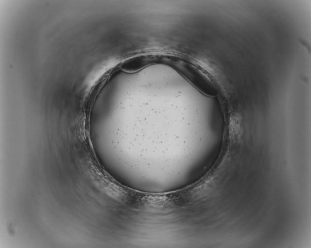 X0000102801310200809021127