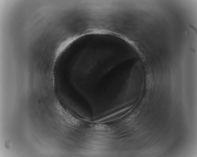 X0000102801319200809021128