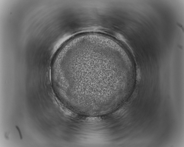 X0000102801320200809021128