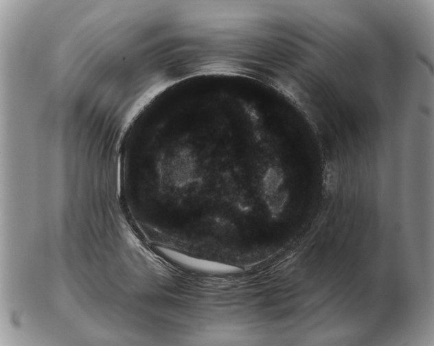 X0000102801323200809021128