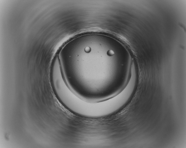 X0000102801326200809021128