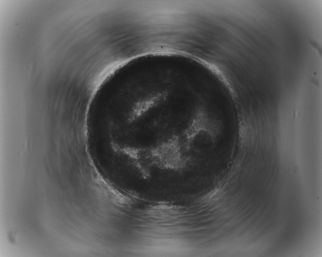 X0000102801327200809021128