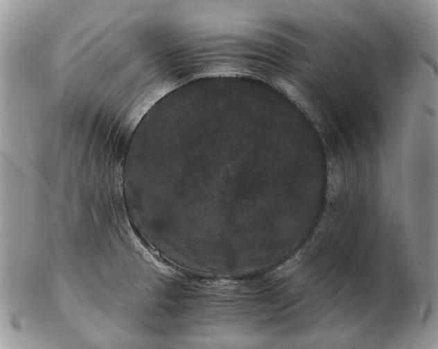 X0000102801329200809021128