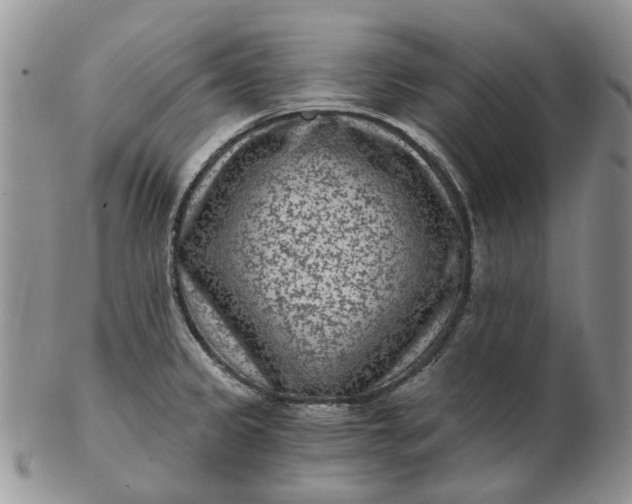 X0000102801333200809021128