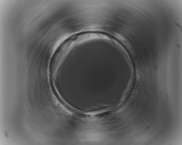 X0000102801334200809021128