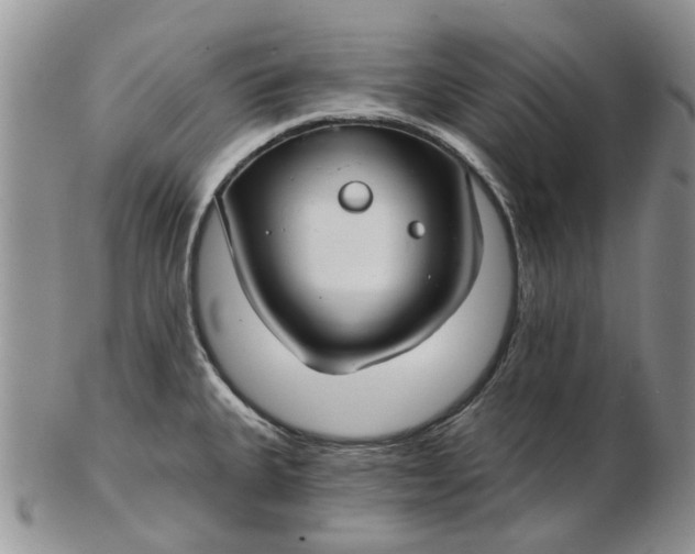 X0000102801335200809021128