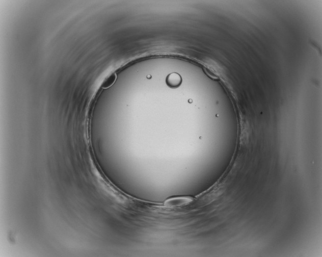 X0000102801342200809021128