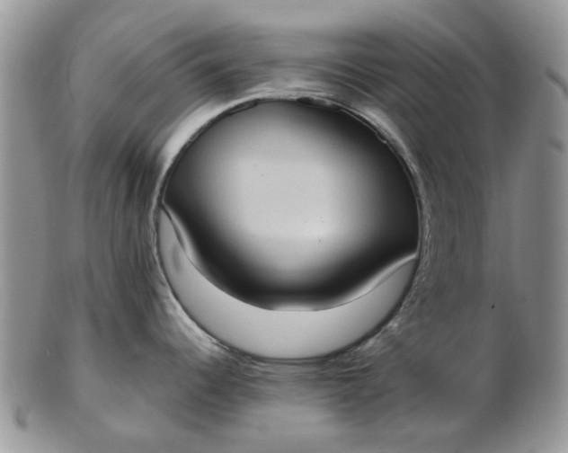 X0000102801344200809021128