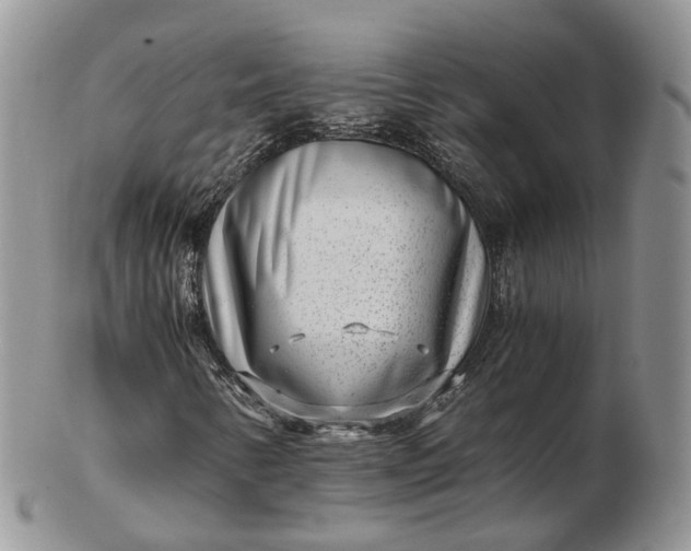 X0000102801346200809021127